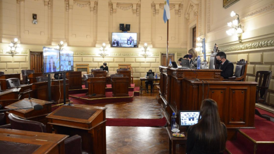 El Senado realizó una nueva sesión de manera virtual