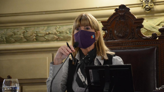 "Les pido que sigamos trabajando codo a codo": el mensaje de Alejandra Rodenas en la sesión del Senado