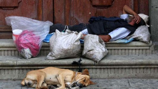 “Una persona recibió una bandeja y la compartió con el animal que tenía”