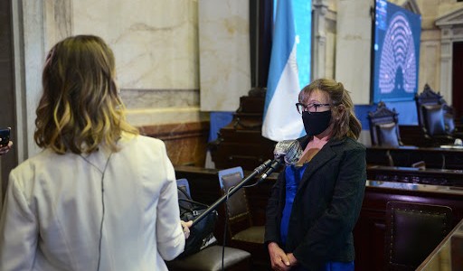 Alcira Figueroa juró en Diputados y asume en lugar de Juan Ameri luego del escándalo