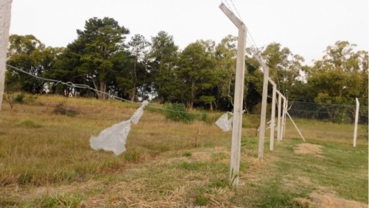 El Quillá sufrió un robo en sus nuevas instalaciones