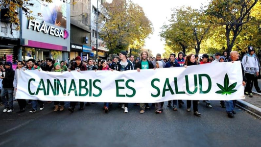Convocan a una marcha virtual exigiendo el tratamiento del Autocultivo en el Senado provincial