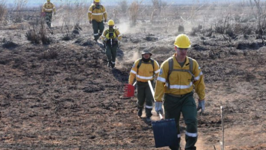 Diputados debate un proyecto para prohibir la venta de los predios forestales incendiados