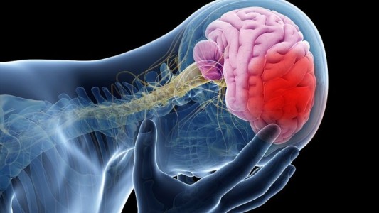 En el Día Mundial de la Lucha contra el ACV, la importancia de concientizar