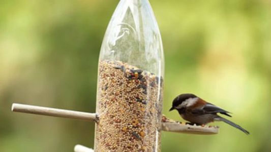 Crean un comedero para pájaros que da comida solo a cambio de chapas de botellas