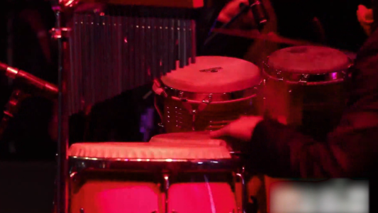 Están casi listos los protocolos para la vuelta de los shows en vivo de los músicos santafesinos