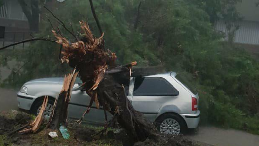 El temporal de lluvia y viento causó desastres en Reconquista