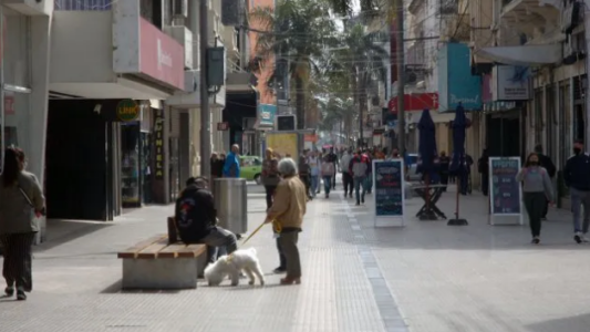 Las ventas minoristas cayeron 6,7% anual en noviembre