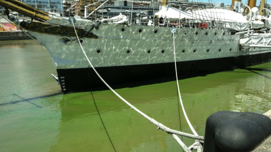 Prevén "verano complicado" por "inédita" presencia de cianobacterias en el Paraná