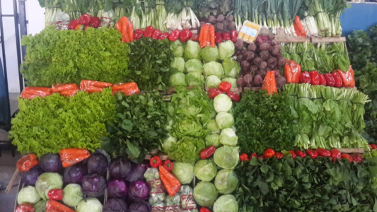 Convenio entre la Bolsa de Comercio de Santa Fe y la Sociedad de Quinteros