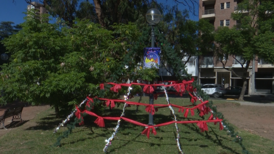 Insólito: se robaron los focos de los arbolitos de Navidad que decoran la Plaza Constituyentes
