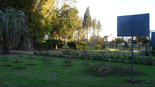 Verano en Santa Fe: el Jardín Botánico está abierto para descubrir su flora y las aves que lo habitan