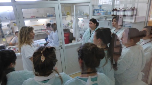 Tecnicaturas Superiores en Enfermería: las prácticas de 2° y 3° año serán presenciales