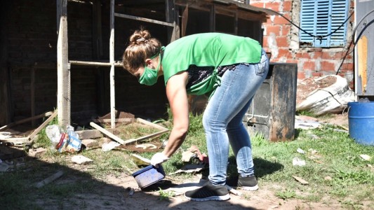 No hay que descuidarse con el dengue: cuáles son los síntomas y cómo se previene la enfermedad