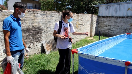 Dengue: en un mes, se recorrieron más de 7.000 domicilios en la ciudad de Santa Fe