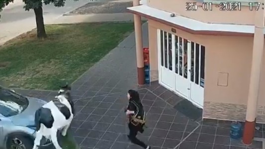 Video: choque y milagro en la puerta de una carnicería