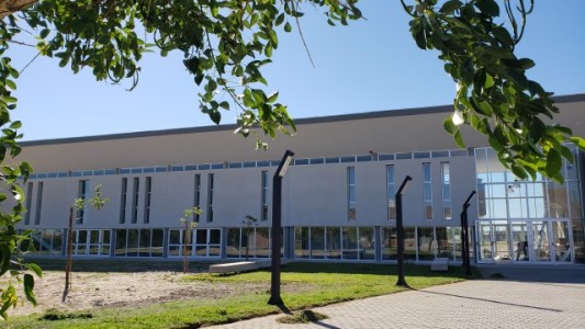 Solicitan que comience a discutirse la presencialidad en las universidades