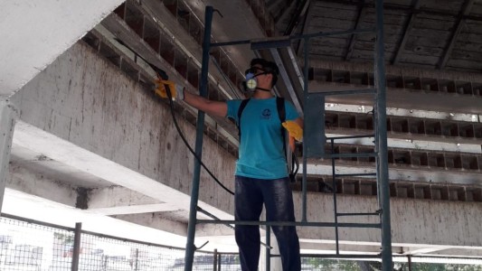 Limpieza del Palomar: la Municipalidad extrajo 700 kilos de residuos