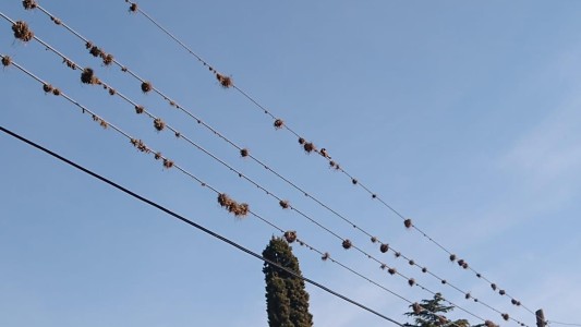 Barrio Jardín: piden urgente la renovación de la infraestructura eléctrica