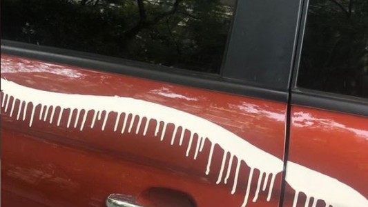 Le tiraron pintura al auto de la hija de Ricardo Darín por estacionar mal