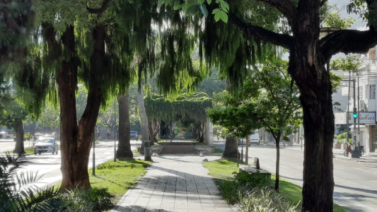 Buen tiempo con cielo despejado se espera para este miércoles