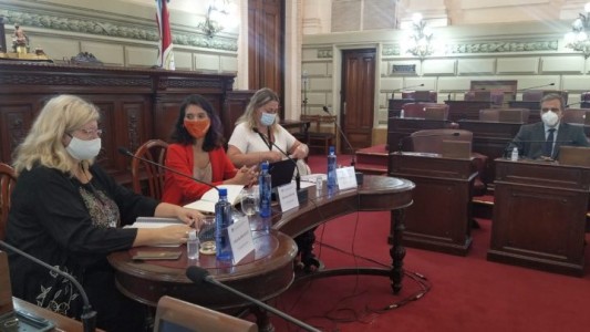 Se realizó la audiencia pública por la vuelta a las clases presenciales