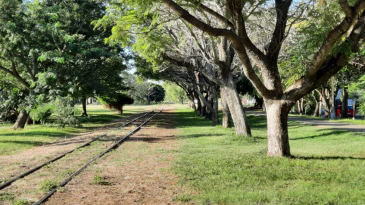 El tiempo en Santa Fe: mucho calor para este viernes y también el fin de semana