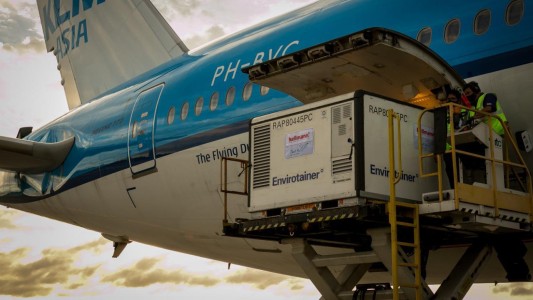 Se completó el lote de 1.000.000 de dosis de Sinopharm