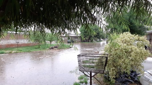 Los colectivos vuelven a marchar en la ciudad: podría haber desvíos
