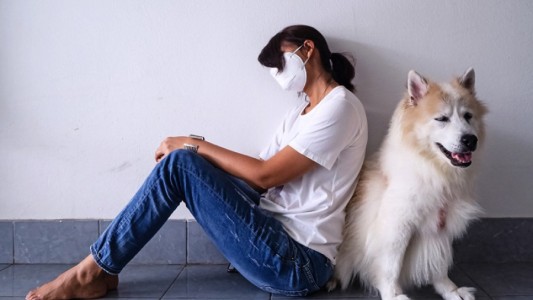 No está comprobado que el ser humano pueda transmitir Covid a mascotas