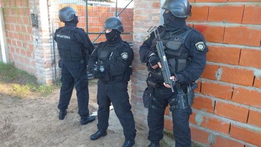 Allanamiento en Rincón: secuestro de varios elementos buscados y de una planta ilegal