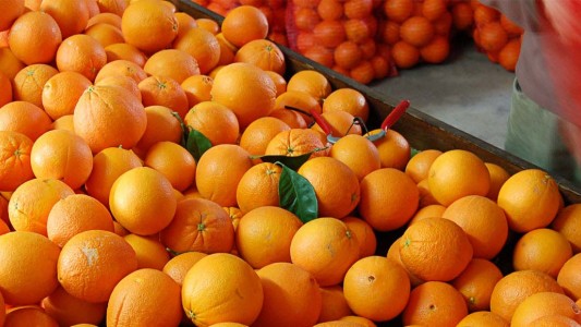 Avizoran un fuerte aumento en cítricos: la naranja llegaría a $200 el kilo
