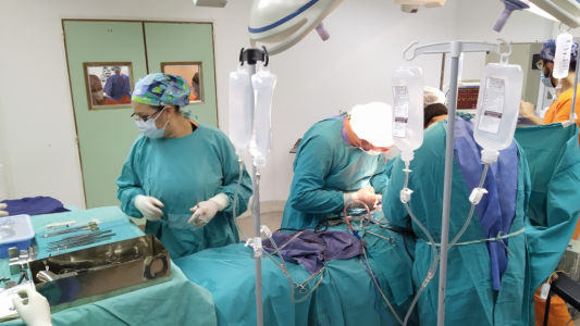 Santa Fe registró diez donaciones de órganos durante el mes de marzo