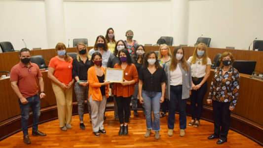 El Concejo distinguió a la Red de Profesionales de Áreas de Género