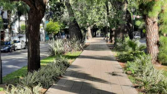 Miércoles soleado y con paulatino ascenso de la temperatura en la ciudad
