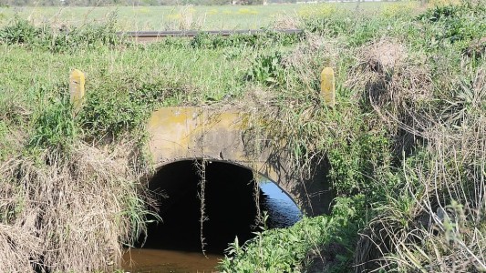 Inician la limpieza del Canal Las Mandarinas, clave para localidades de La Capital