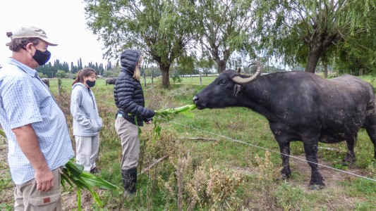 La Escuela Granja de la UNL comenzó el ciclo lectivo 2021