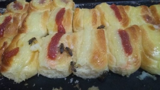 Conmoción por invasión de abejas en una panadería de Rosario