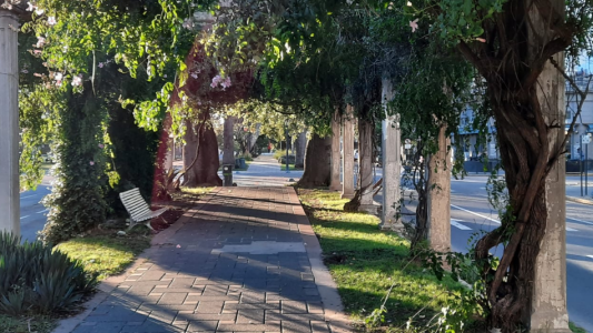 Siguen los días otoñales y soleados en la ciudad
