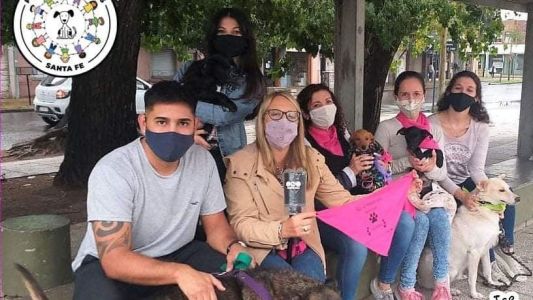 Perros comunitarios SANTA FE: ellos están buscando un hogar y una familia