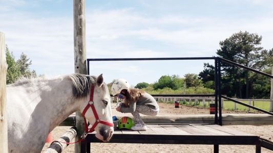 EquinoTerapia reúne fondos para reacondicionar el espacio de trabajo