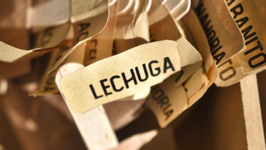 La Municipalidad dicta talleres sobre huertas agroecológicas familiares