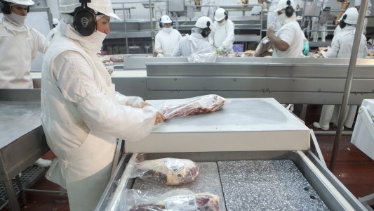 Restricción de exportaciones de carne: "una medida distorsiva, que afecta gravemente al sector"