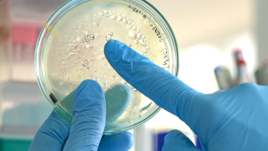 Dos nuevas empresas de alta tecnología nacen de la UNL