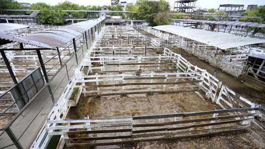 El campo analiza "un cese de comercialización total que involucre también granos"