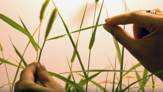 Se presentan dos nuevos spin off universitarios