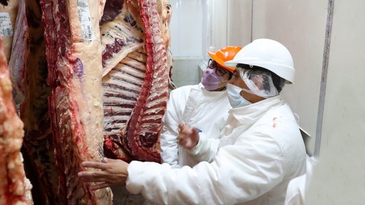 Restricciones a la exportación para bajar el precio de la carne: "el abordaje no fue el correcto"