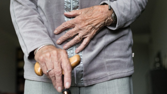 Adultos mayores: vuelve el ciclo municipal de conferencias gratuitas