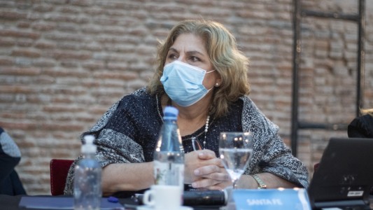 Martorano participó del Consejo Federal de Salud junto a la ministra Vizzotti