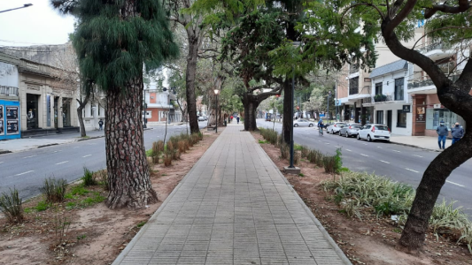La semana hábil comienza con mucha humedad y leve ascenso de la temperatura